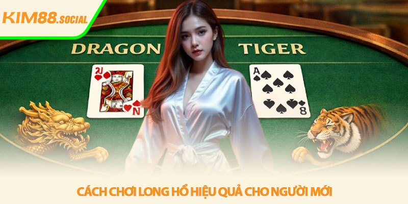 Cách chơi long hổ - Hướng dẫn dễ hiểu tại Kim88 4 Cách chơi long hổ hiệu quả cho người mới