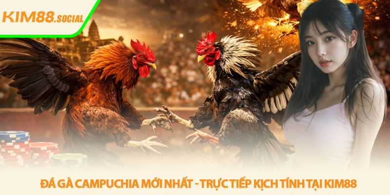Đá gà Campuchia mới nhất - Trực tiếp kịch tính tại Kim88 4 Đá gà Campuchia mới nhất - Trực tiếp kịch tính tại Kim88