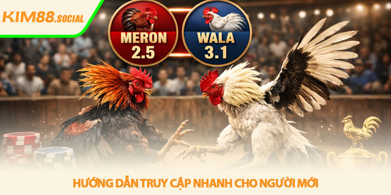 Đá gà Kim88 - Xem trực tiếp ổn định, kịch tính hấp dẫn 4 Hướng dẫn truy cập nhanh cho người mới