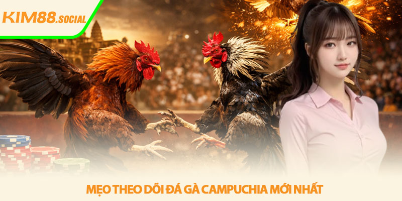 Đá gà Campuchia mới nhất - Trực tiếp kịch tính tại Kim88 4 Mẹo theo dõi đá gà Campuchia mới nhất