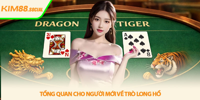 Cách chơi long hổ - Hướng dẫn dễ hiểu tại Kim88 2 Tổng quan cho người mới về trò long hổ